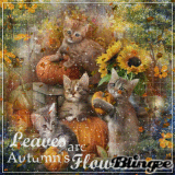 Ƹ̵̡Ӝ̵̨̄Ʒ Leaves are Autumn's Flower {by Meirisa} Ƹ̵̡Ӝ̵̨̄Ʒ