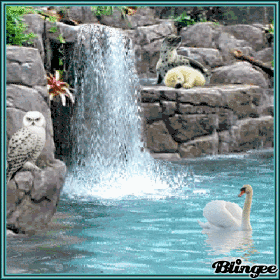 Welttierschutztag am 4.10.2021