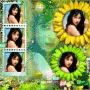 anjinho88 anjinho88