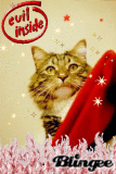 devilkitty