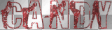 C.A.N.D.I.I