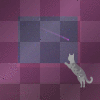 action cat shooting star