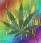 Trippy Weed