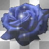blue rose sparkle