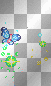 Butterflies Butterflies