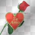 te amo