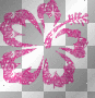 flower pink