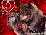 Wolf Love