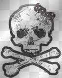 skull