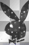 playboy