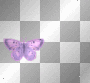 purple butterfly 